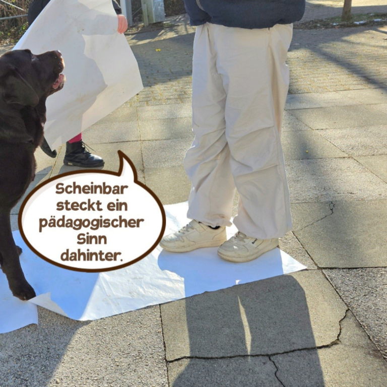 Impressionen von unserem Teambuilding mit „Wuff“ in der OGTs